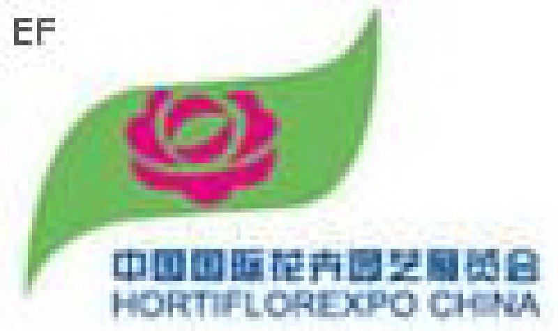 第十一届中国国际花卉园艺展览会