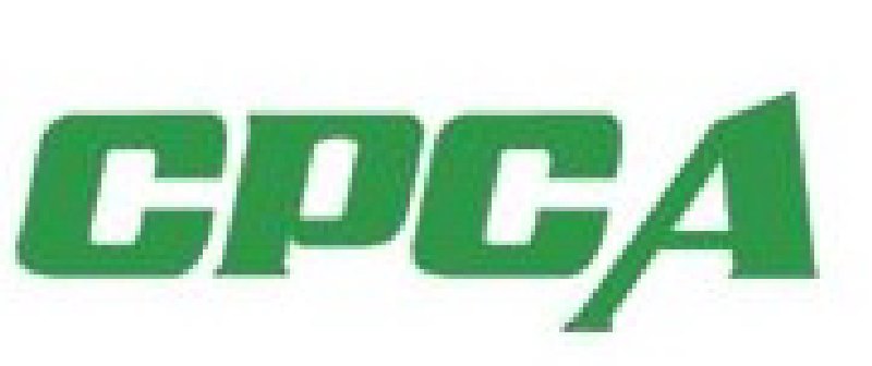 19йʵӵ·չ(CPCA SHOW 2010)