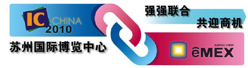 2010ڰ˽йʰ뵼岩߸߷̳
