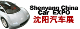 2011第十三届沈阳春季汽车展览会