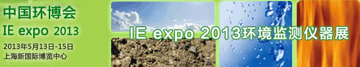 IE expo 2013չ