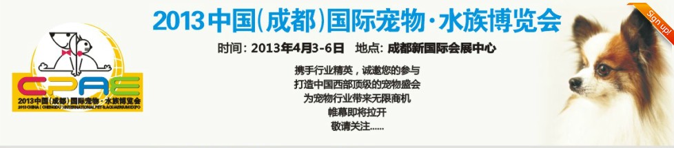 2013ɶˮ岩