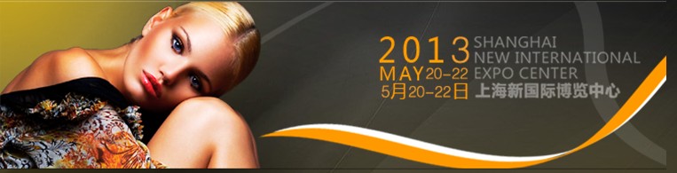 2013ʮ˽йݲᣨϺCBE