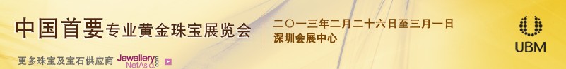 2013ʮһйڣʻƽ鱦ʯչ