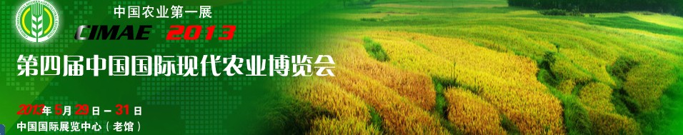 2013Ľ챱ִũҵչ
