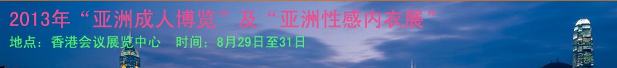 2013޳˲