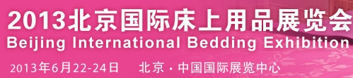 2013ʴƷչ
