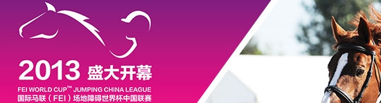 2013FEIϰ籭