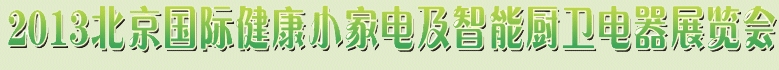 2013ʽСҵ缰ܳչ