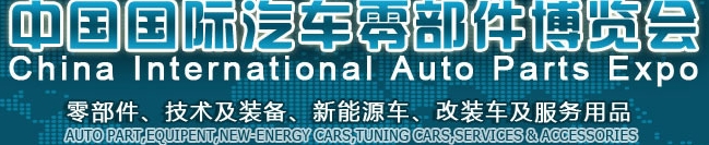 CIAPE2013߽й㲿