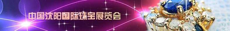 2013ڰ˽鱦չ