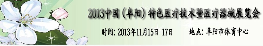 2013йɫҽƼҽеչ