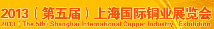 2013Ϻͭҵչ