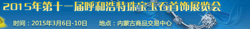 2015ʮһ죨ͺأ鱦ʯչ