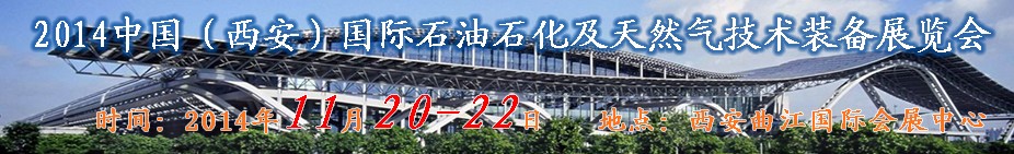 XIPPE2014йʯʯװչ