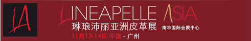 2014Ƥչ