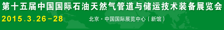 2015ʮйʯȻܵ봢˼װչ