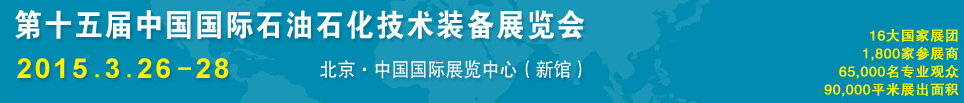 2015ʮйʯʯװչ