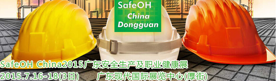 2015SafeOHٶȫְҵչ