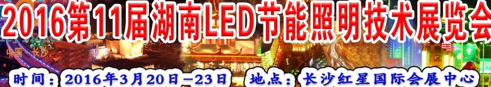 2016ʮһLEDչ