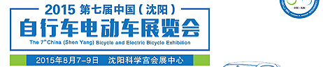 2015߽г綯չ