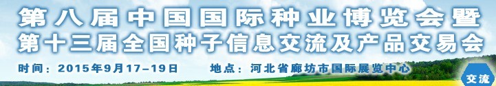 2015ʮȫϢ߲Ʒ׻