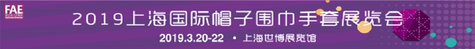 2019ϺñΧչ