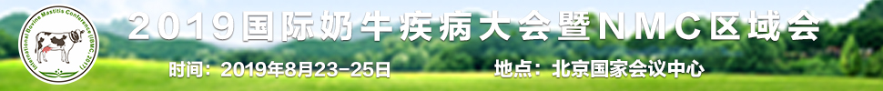 2019ţ