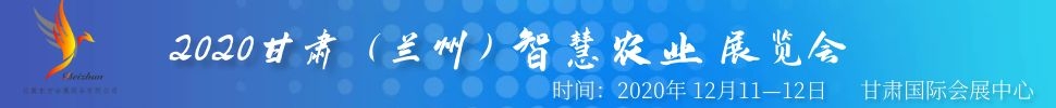 2020ࣨݣǻũҵչ